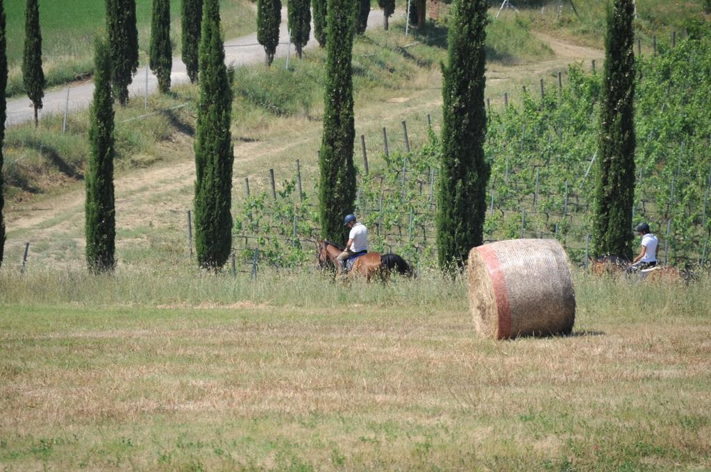 Tenuta Casabianca มูร์โล ภายนอก รูปภาพ