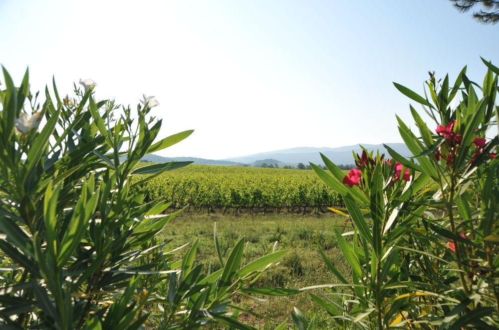 Tenuta Casabianca มูร์โล ภายนอก รูปภาพ
