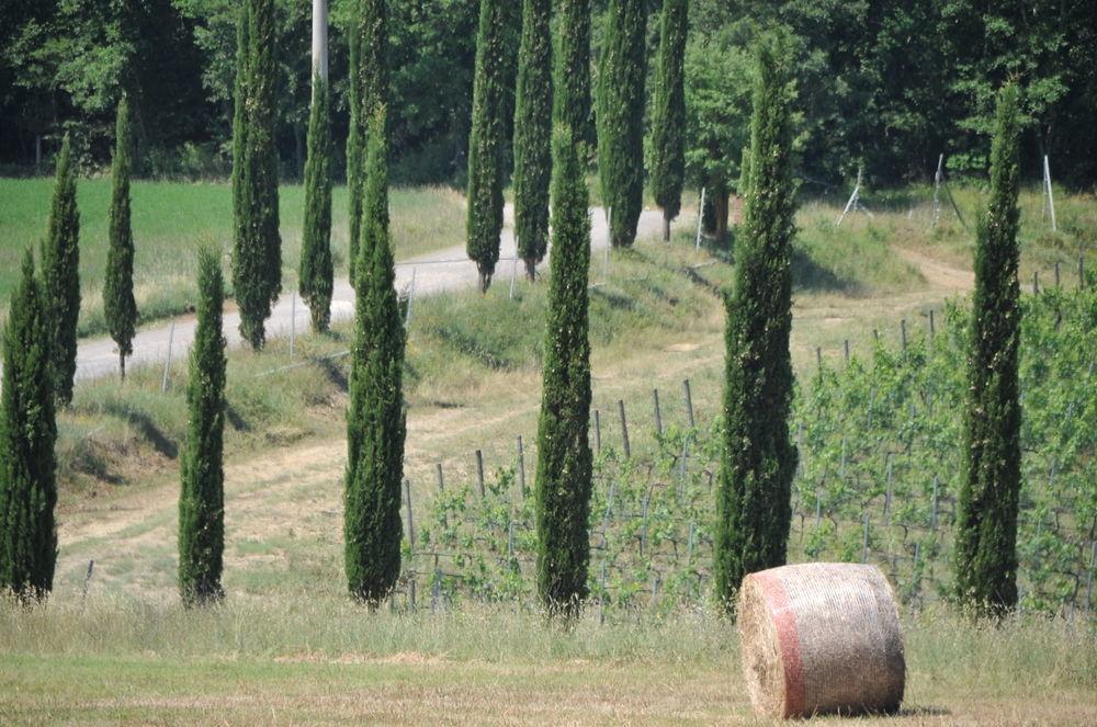 Tenuta Casabianca มูร์โล ภายนอก รูปภาพ